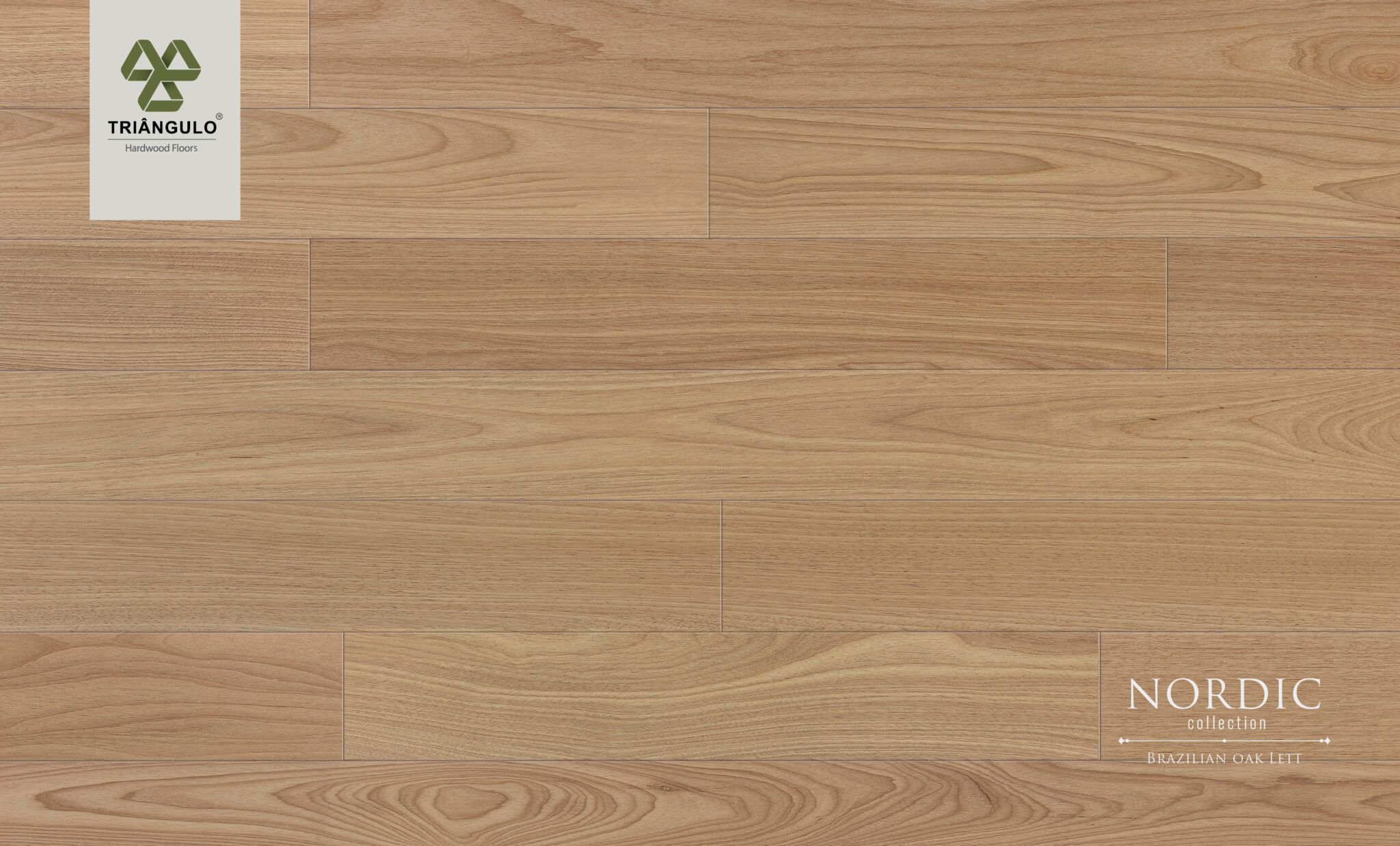 Brazilian Oak Lett